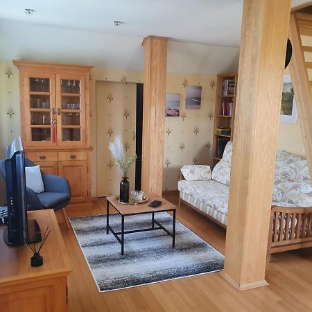 Apartament Jurginu 14 Apartamentai Kłajpeda Zewnętrze zdjęcie